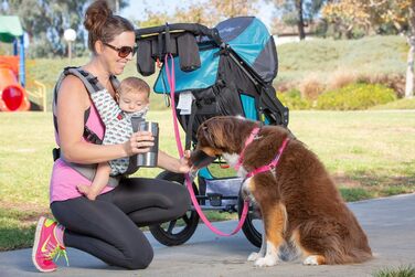 Портативна пляшка для води з нержавіючої сталі для собак PetFusion, дорожня миска, срібляста, для годування та напування собак і домашніх тварин