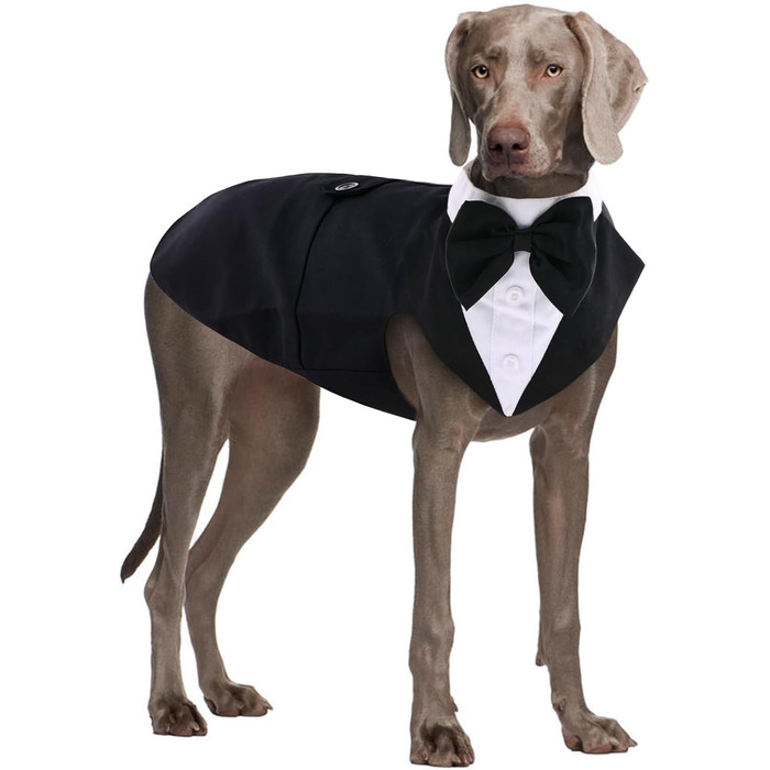 Костюм для собаки QBLEEV: формальний смокінг з краваткою, для вечірок, свят, повсякденного носіння. Розміри: XXS-XXL, з D-початком. Чорний.