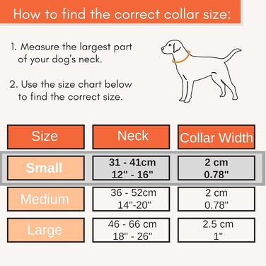 Нашийник для собак великих порід, світловідбиваючий, з м'якою підкладкою, регульований, з металевою застібкою, алюмінієве кільце (Small, Dreamy Aqua)