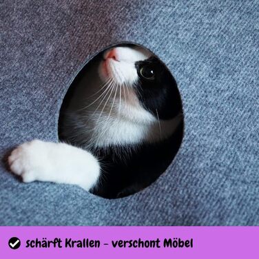 CatMountain® Інтерактивний килимок-тунель для котів, іграшка для кошенят та дорослих котів
