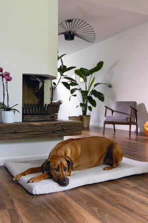 Ортопедичне ліжко для собак Beeztees Ito, сірого кольору, 109x69x5 см