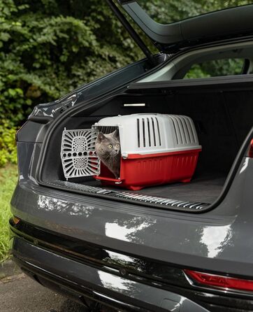 Транспортний бокс для собак Lionto з міцного переробленого пластику, 55x36x36 см, з практичним замком та ручкою, підходить для котів та дрібних тварин, для тварин до 15 кг, сірий