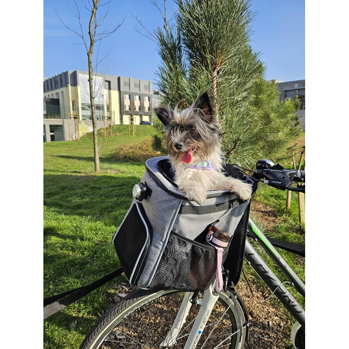 Корзина для собак, рюкзак для тварин, транспортер для котів PETRIVE