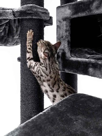 Дряпак для котів Petrebels Maine Coon, Estate, 170 см, XXL, чорний