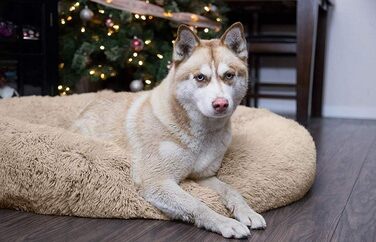 Кругле ліжко для домашніх тварин Maran Deluxe: зручне, м'яке, миється, для котів та собак, 70x70x18 см