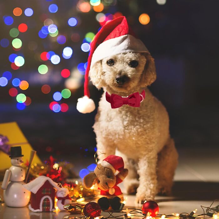 Нашийник для собак Aring з бантиком, регульований, м'який, темно-зелений (M), червоний (для свят)