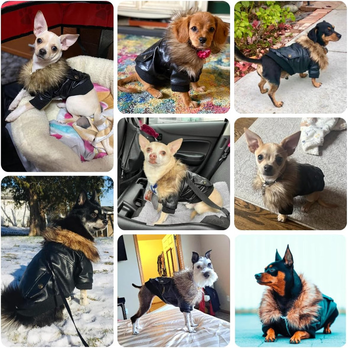 Теплий зимовий одяг для собак: флісова куртка-жакет для малих та середніх собак, M