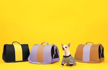 Переноска для котів і собак до 27 кг, TSA-схвалена, м’яка, складана, чорна і сіра, 50×32×33 см