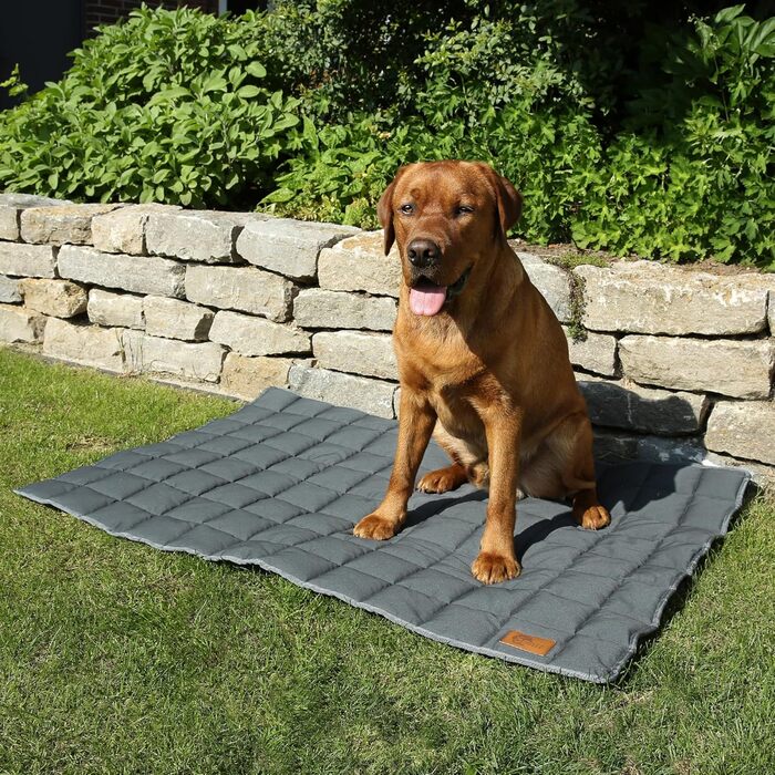 Килимок для собак Your Gear Lana, 120 x 80 см, бавовна Oeko-Tex, м'який, міцний, для дому та вулиці