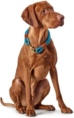 Нашийник для собак HUNTER OSS, петроль, L-XL, мотузка, карабін, морський стиль