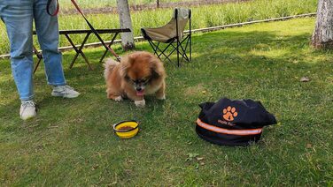 Сумка-переноска для тварин Maple Rock, 20 л, для подорожей, кемпінгу, з контейнером для корму, 84 чашки