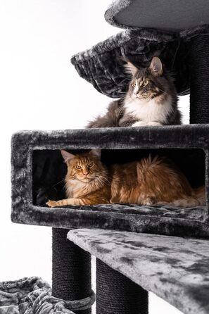 Дряпка для котів Petrebels Maine Coon XXL Alley 200 см, преміум, для великих котів, чорна