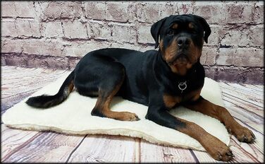 Activedogs Sherpa Hundebett: антибактеріальне, машинне прання, 46x51 см