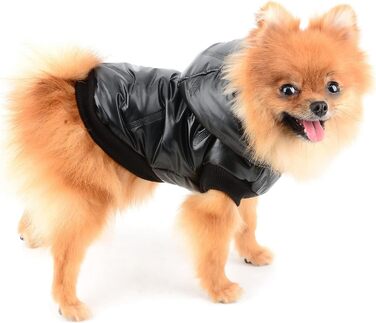 PAIDEFUL Зимовий теплий пуховик для собак - куртка з капюшоном для цуценят, чихуахуа, котів. Розмір M, чорний. Водонепроникний, захист від вітру. Довжина спини 25 см, обхват грудей 37 см.