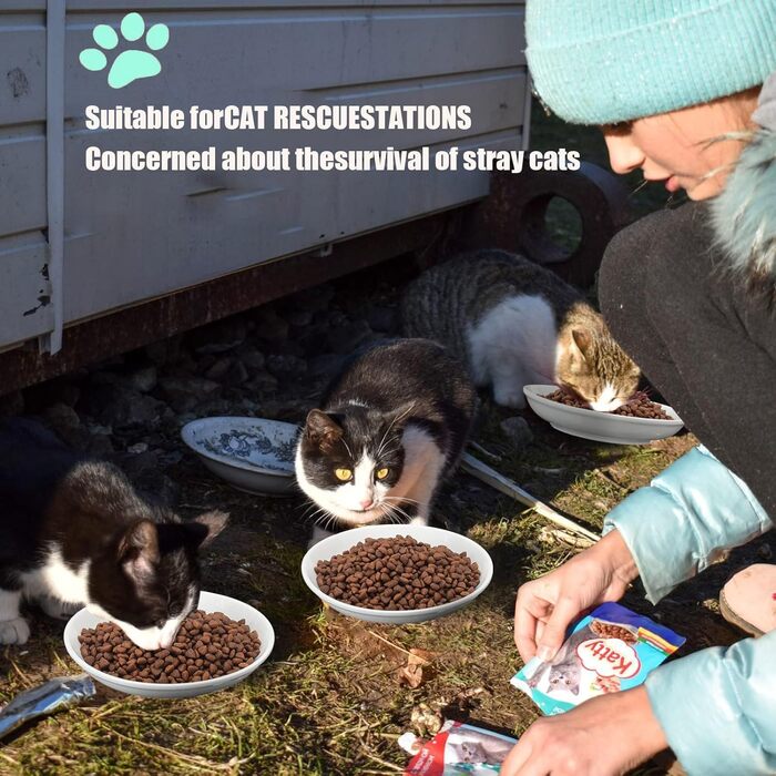 Набір мисок для котів на 6 місць - 6 мисок з кераміки та підставки, широкі миски для котів, що зменшують подразнення вусів, плоскі миски для кошенят та дрібних тварин