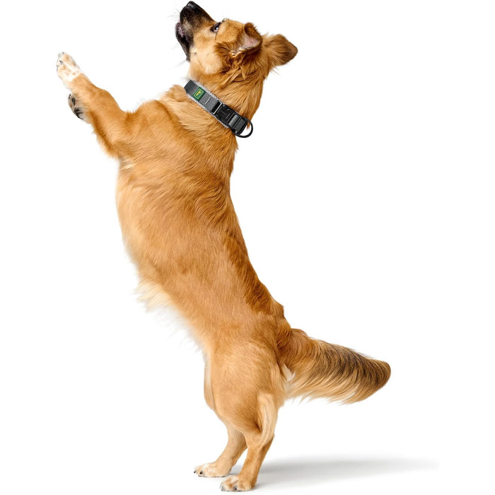 Нашийник для собак Hunter Maldon сірий, розмір L: дихаючий сітчастий, міцний нейлон, безшумний, гіпоалергенний, з запобіжником затягування, адресник, легкий