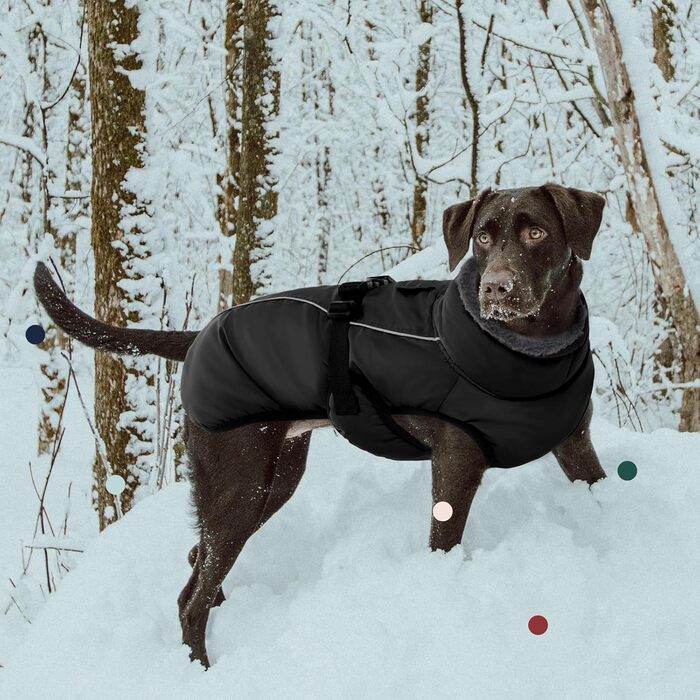 Зимовий теплий теплий одяг для собак IECOii, чорний, регульований, з пряжкою, флісова комір, для маленьких, середніх та великих собак (Large, обхват грудей 53-62 см)