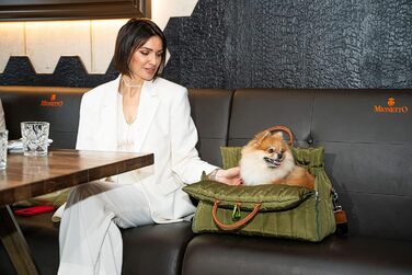 Чорничний собачий рюкзак Flying Dog Sunny 3-в-1: переноска, автокрісло та лежак для собак до 10 кг, оливковий колір