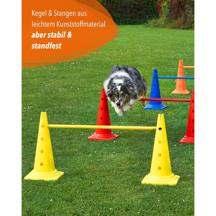 Набір для аджиліті SPORTIKEL24: 4 перешкоди для собак, коней та дітей (50 см, 100 см)