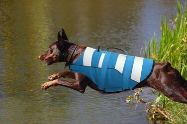 Спасальний жилет для собак, блакитний, розмір S, для джек-рассел, чихуахуа, французький бульдог, лабрадор - ASENKU