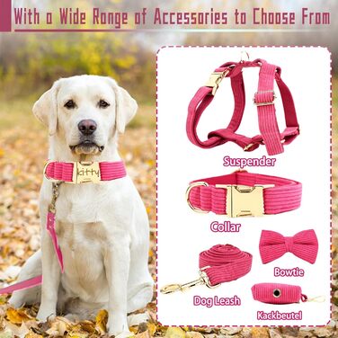 Персоналізоване собаче нашийник з металевою застібкою, нашийник з іменем та номером телефону, регульовані розміри для великих та середніх собак