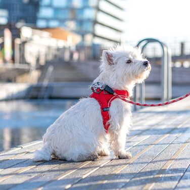 Шлея для собак DOG Copenhagen Comfort Walk Go, розмір M, мокко (коричнева)