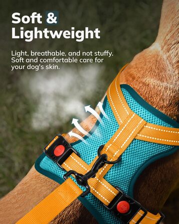 Собачий шлея MIDOG XL, не тягне, відбивні ремені, дихаюча сітка, регульована, синя