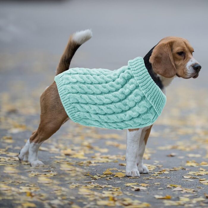 2 шт. Пуловер для собак - теплий зимовий вовняний пуловер з коміром-горловиною для маленьких собак, зручний в'язаний одяг для такс та цуценят, в'язаний пуловер для маленьких порід собак, для дому та вулиці, синій/рожевий
