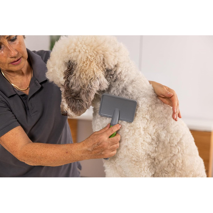 Вищипувальна щітка Wahl для собак і котів - професійний інструмент грумінгу, зелена ручка