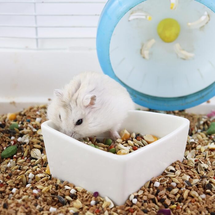 Напувайник для хом'яків та дрібних тварин LuckyOpt: керамічна годівниця для хом'яків, морських свинок, їжаків та мишей (рожевий)