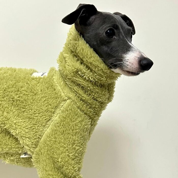 Теплий флісовий комбінезон для собак - теплий спальний костюм, зимовий одяг для італійських грейхаундів, маленьких, середніх та великих собак (2.3 кг, Зелений)