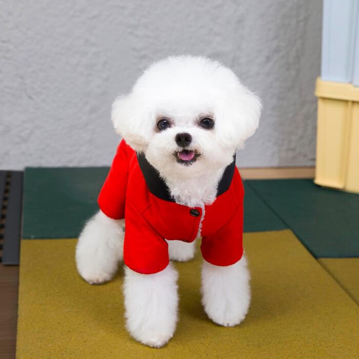 Теплий зимовий халат для собак Izefia: водонепроникний, бавовняний, для маленьких та середніх собак і котів (довжина спини: 32 см, 17 см), зелений, червоний