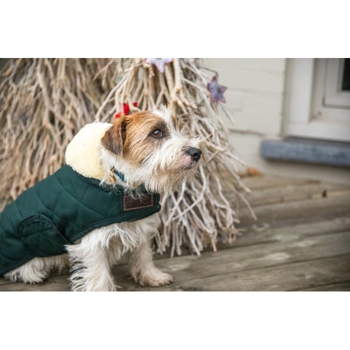 Зимовий теплий одяг для собак Kentucky Hundemantel, темно-зелений, XL, 60-70 см