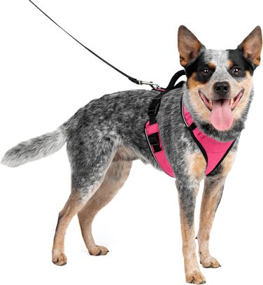 Шлея для собак PetSafe Easysport Medium рожева