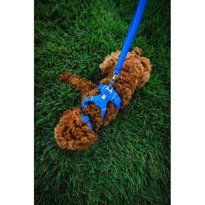 Нашийник для собак Ruffwear Front Range з V-подібним кільцем, регульований, зручний, м'який, для собак, з кільцем для повідка, 14'-20' (Базальтовий сірий, 20'-26')