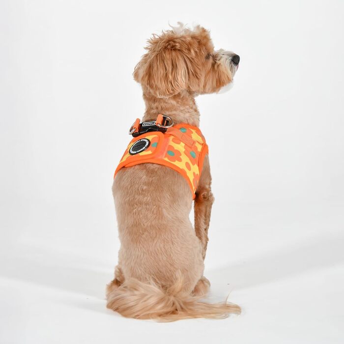 Шлейка для собак Bacopas Orange, S - зручна та стильна