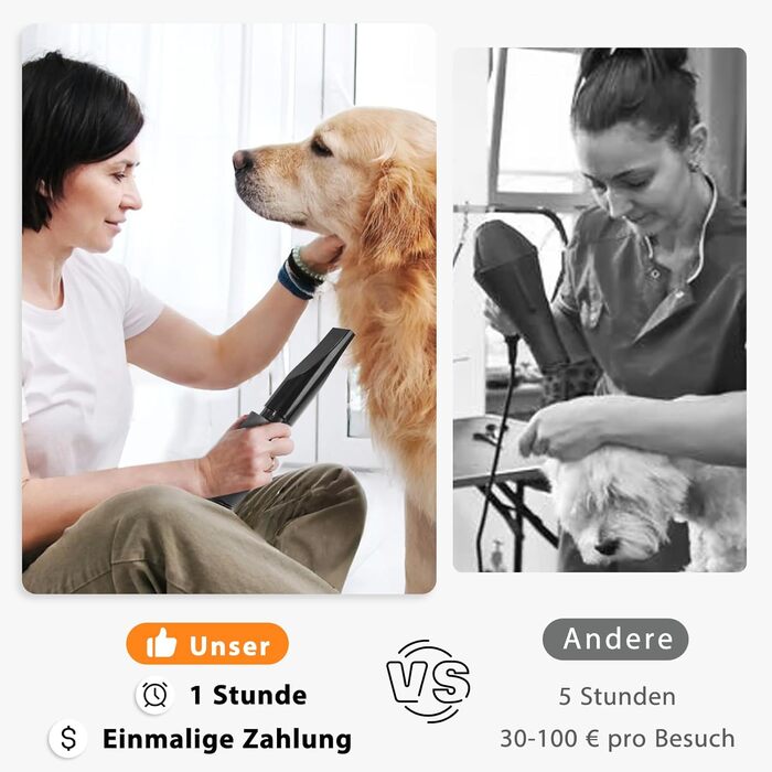 Фен для собак Blower 3000W, тихий, з регулюванням швидкості, 4 насадки, синій