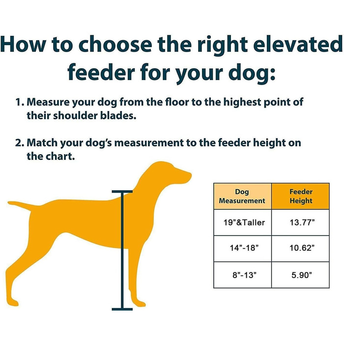 Підвищена годівниця для собак Funkeen з подвійними мисками з нержавіючої сталі, для середніх собак, об'єм 1 кварту