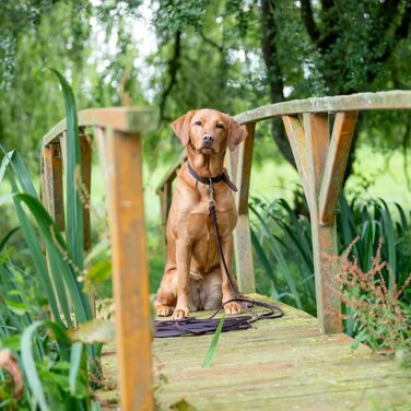 TRIXIE повідок-шлея зі шкіри Rustic, 10 м, 8 мм, темно-коричневий, для собак S–M, класичний дизайн