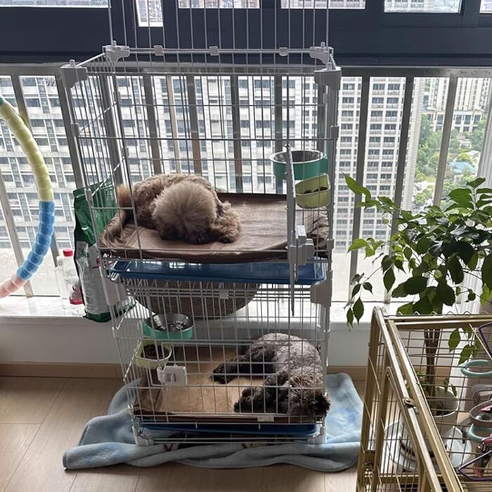 Клітка для собак, переноска для собак, металева клітка-переноска для дому, 52x36x49 см, з дашком та висувною полицею, на колесах