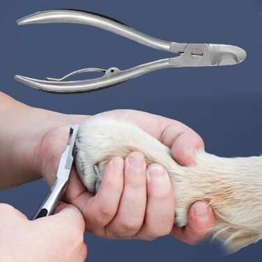 Професійні ножиці для стрижки кігтів собак - прецизійні, з неслизьким покриттям, для великих та середніх порід, котів та інших домашніх тварин. Ідеально для догляду вдома та в подорожах