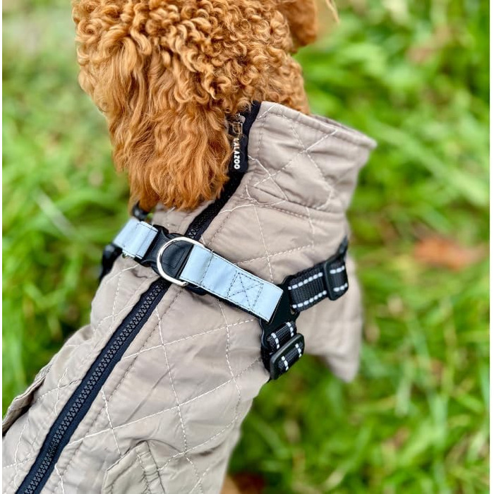 Теплий водонепроникний зимовий пуховик для собак Lalzoo LUVI 2-в-1 з інтегрованим нашийником – для маленьких та середніх собак, світлодіодна куртка, бежевий, розмір S