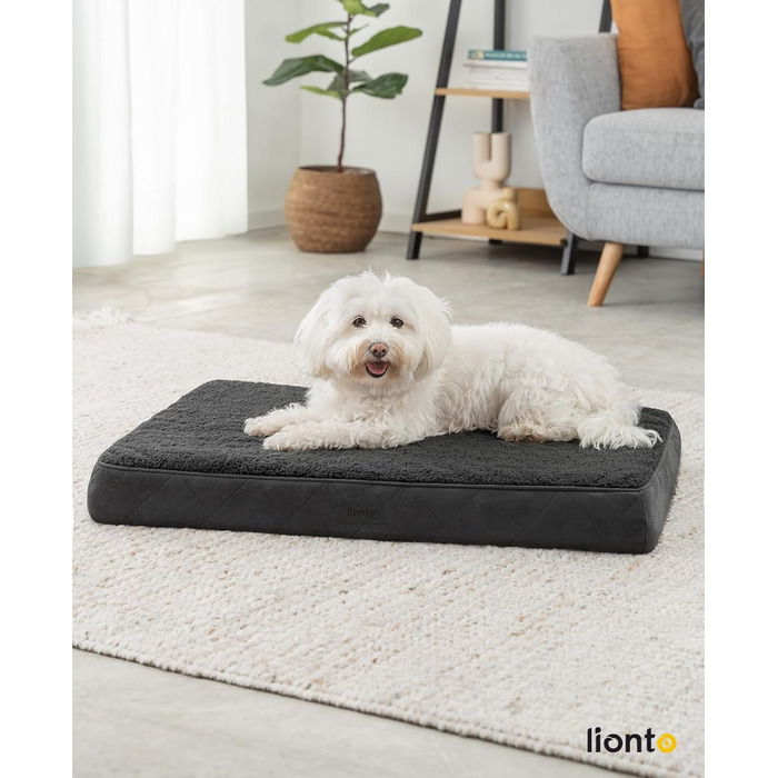 Ортопедичне ліжко для собак Lionto, 76x51x8 см, чорне. М'яке, знімний та миючий чохол, водовідштовхувальне, для собак та котів