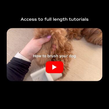 Пупел Преміум щітка для грумінгу собак