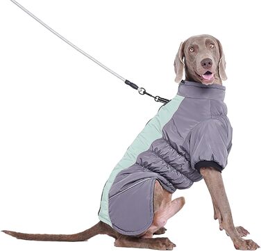 Зимові куртки для собак з натуральним хутром: теплі, відображають світло, для холодної погоди (XS, C)