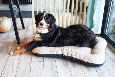 Ліжко для собак середніх порід 80x60 см, бежеве, знімний чохол, 4L Textil KLEO