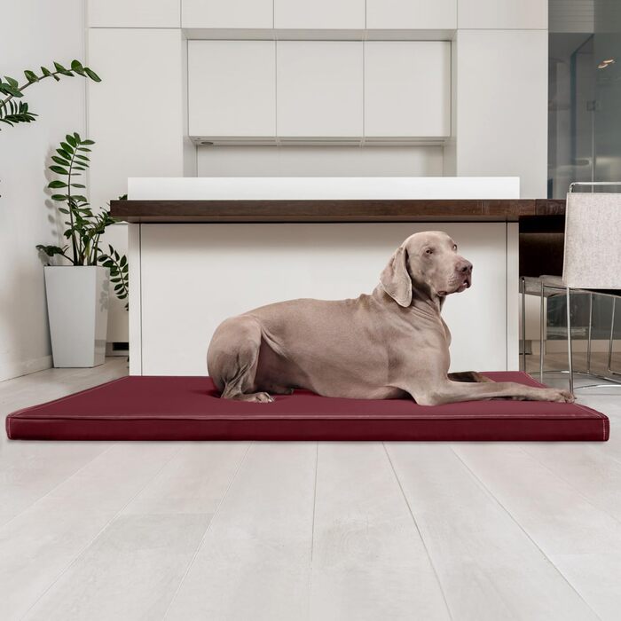 Ортопедичний лежак для собак Tierlando Carlos Ortho-Medic з віскоеластичної піни та штучної шкіри, 80x60 см, темно-червоний