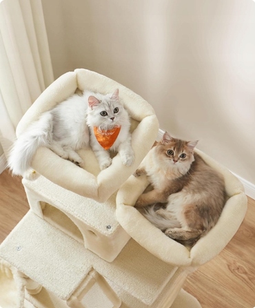 Високий когтеточка-комплекс Feandrea бежевий, 206 см, для великих кішок XXL з гамаком та лежаком