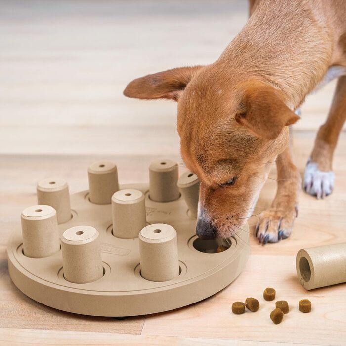 Інтерактивна іграшка-головоломка для собак Outward Hound Nina Ottosson Dog Smart, рівень 1, бежевий, композитна, для розвитку та ласощів