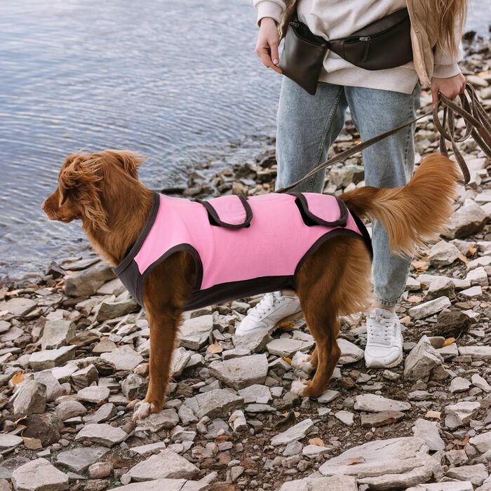Піжама для собак після операції ASENKU: захист від лизання, альтернатива конусу, рожева, M